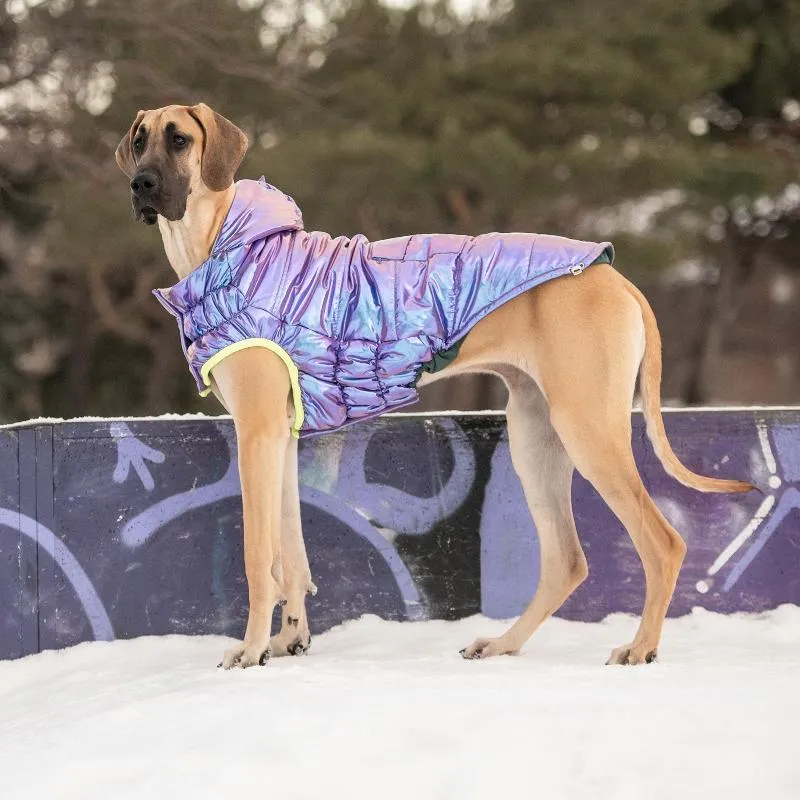 Recycled Dog Parka - Iridescent Purple