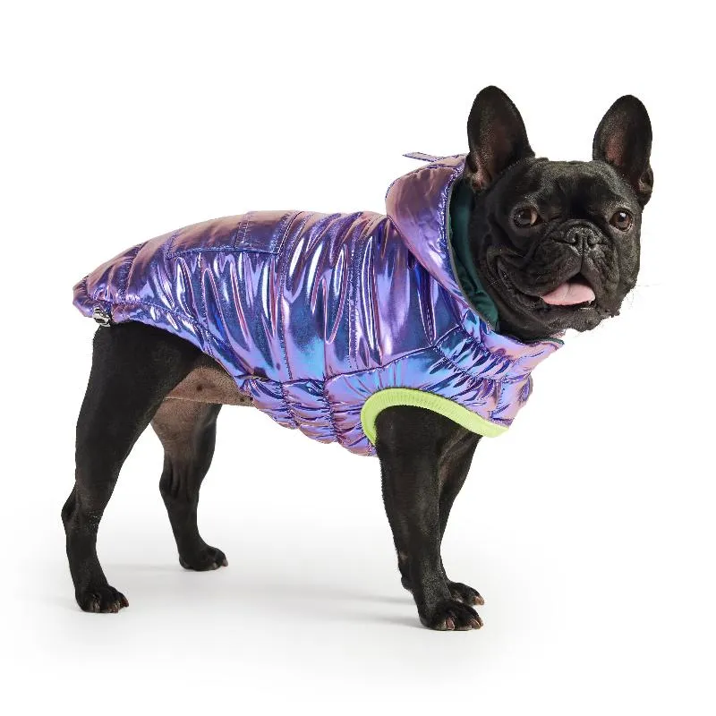 Recycled Dog Parka - Iridescent Purple