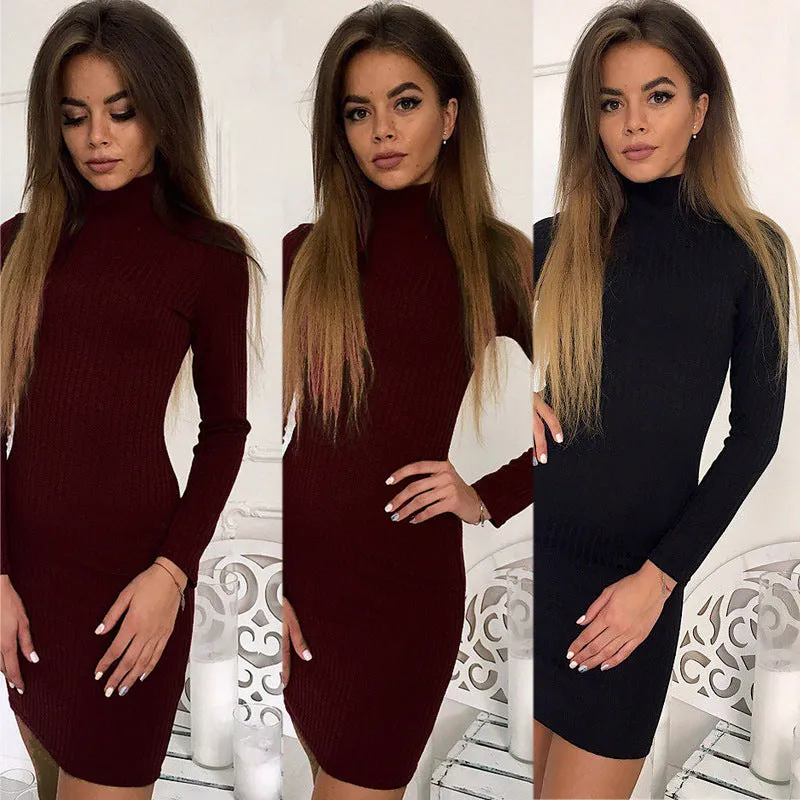 Simple Solid Color Turtleneck Slim Women Pullover Sweater Dress
