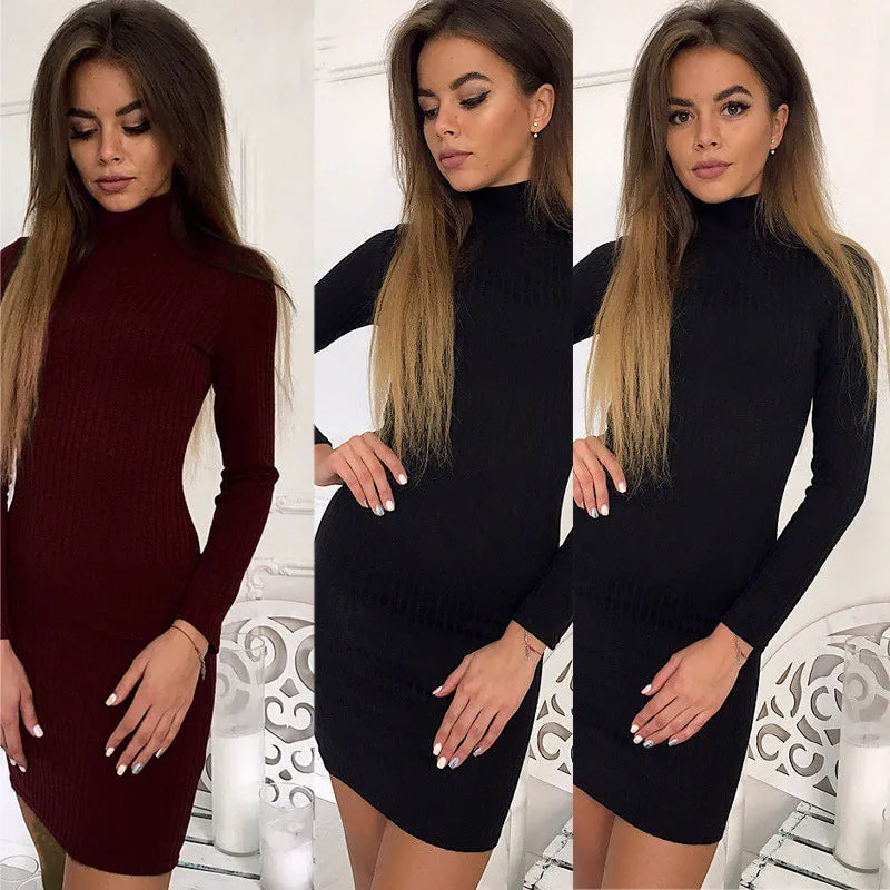 Simple Solid Color Turtleneck Slim Women Pullover Sweater Dress