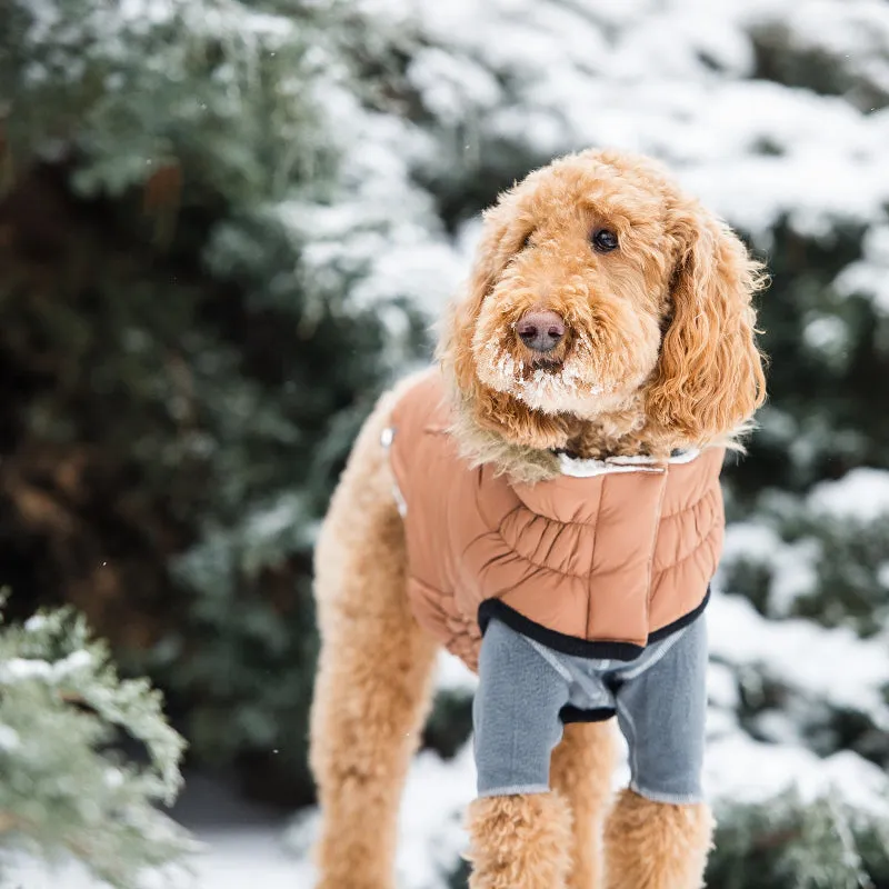 Urban Dog Parka - Caramel