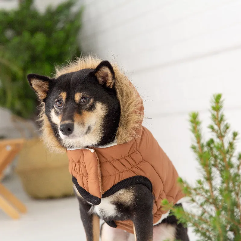 Urban Dog Parka - Caramel