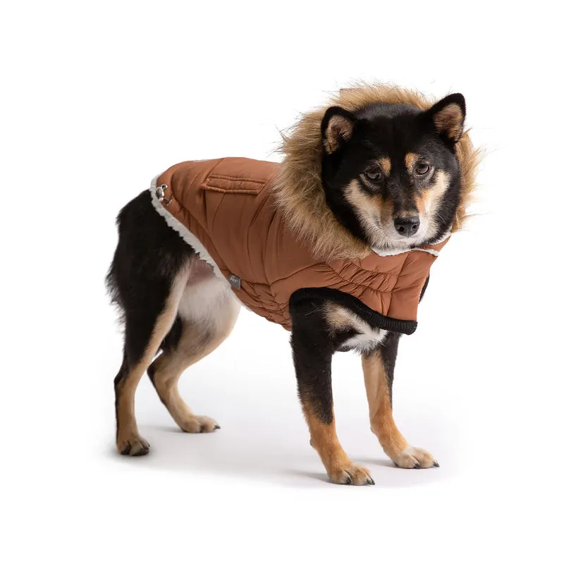 Urban Dog Parka - Caramel