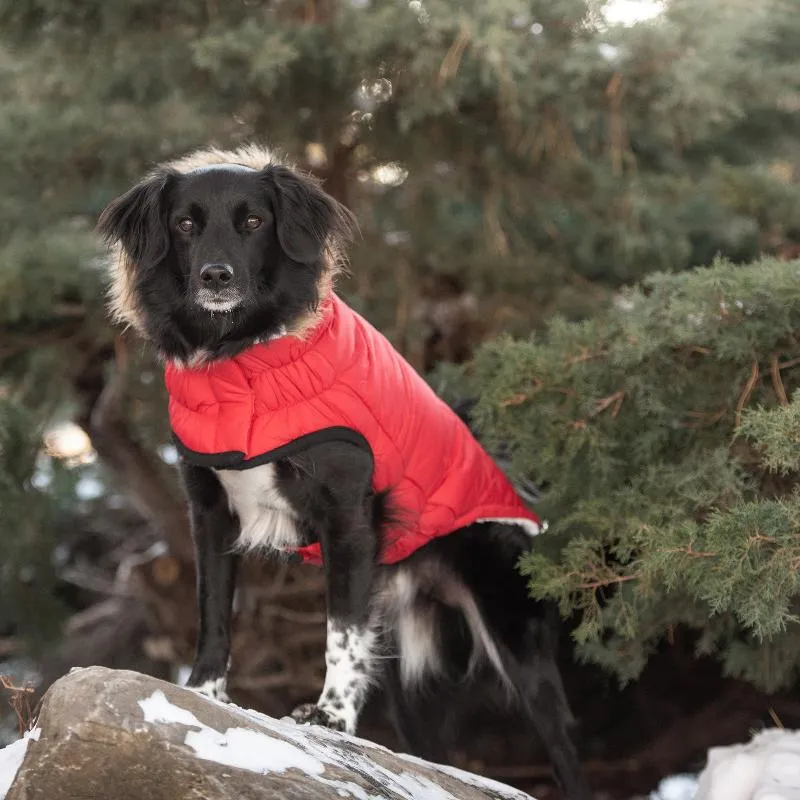 Urban Dog Parka - Red